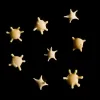 10 grains of star shaped sand collected from southern Japan