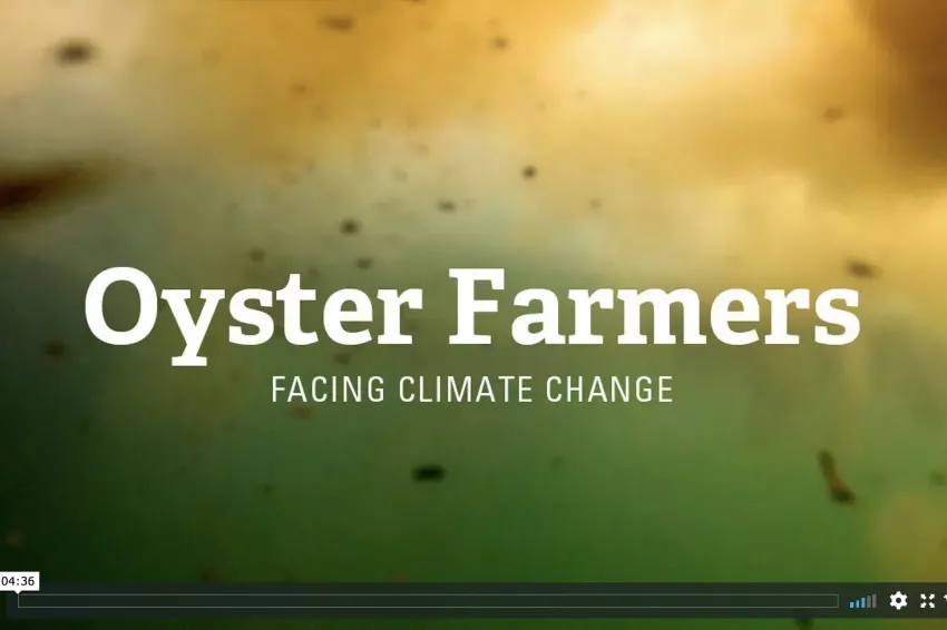 A screenshot from the beginning of the video "Facing Climate Change: Oyster Farmers"