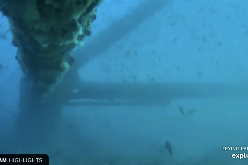 A large metal structure sits in ocean water. 