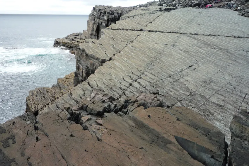 Mistaken Point New Foundland