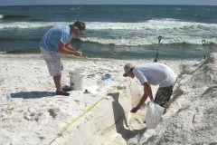 Gulf of Mexico Research Initiative researchers collect samples from a Pensacola Beach with oil layers in the sand. They use genomics to track how the communities of microbes change as they digest different components of oil after a spill.