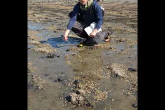 Nick Pyenson points to a skull and skeleton of a fossil whale. 