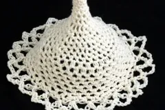 a crochet radiolarian