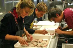 Ruth Meadows examines specimens as part of her Teacher at Sea experience. NOAA Teacher at Sea Ruth Meadows sorts specimens aboard the NOAA Ship Henry B. Bigelow as part of the Mid-Atlantic Ridge Ecosystem (MAR-ECO) project.
