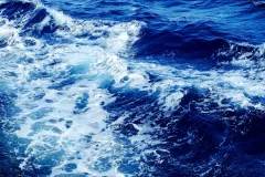 the foamy surface of the ocean