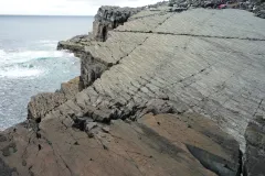 Mistaken Point New Foundland