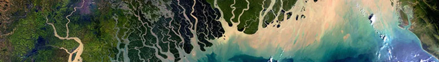 An aerial image of river tributaries flowing into the ocean. 