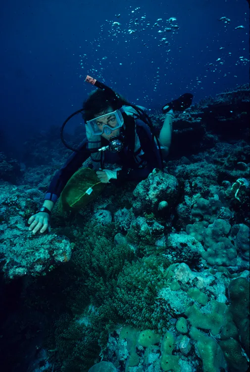 Dr. Valerie Paul, director of the Smithsonian Marine Station at Fort Pierce, Fla., examines tropical seaweeds on northwestern Guam’s coral reefs.