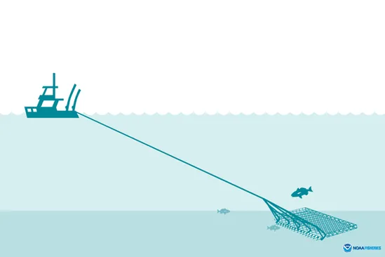 a ships drags a dredge