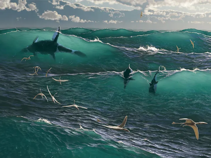 ancient sea creatures frolic in the waves