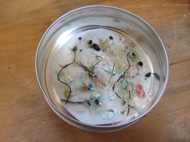 Tiny bits and pieces of plastic can be found throughout the ocean, like these collected from the open ocean by net. 