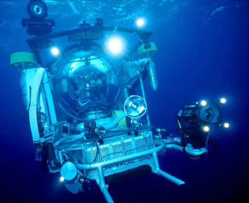 Ocean scientists inside the Johnson-Sea-Link submersible travel to deep-sea coral ecosystems up to 3,000 m (9,843 ft) below the ocean’s surface.