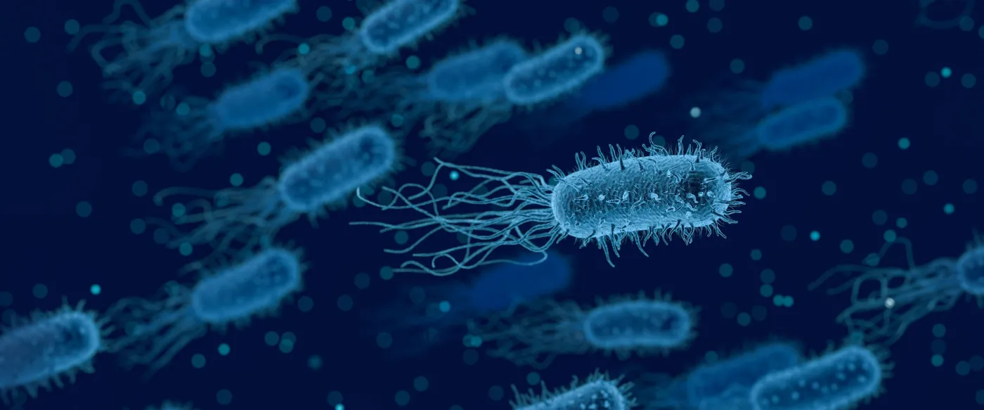 Magnified bacteria.