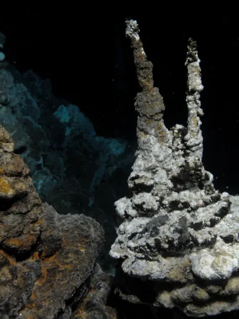 A gray deep-sea vent sticks up from the sea floor.